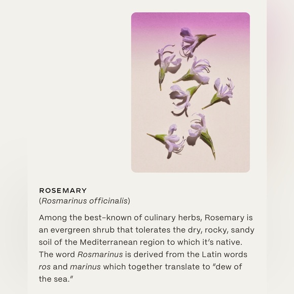 TWENTYNINE PALMS DESERT TUMBLEWEED CLEANSING SHAMPOO AND SOFTEN CONDITIONER. - Picture 13 of 13